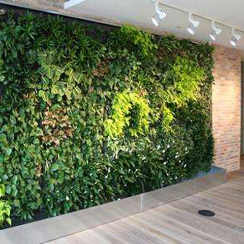绿植墙绿化设计