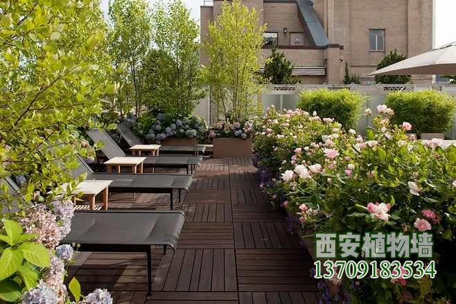 屋顶花园绿化 屋顶花园绿化