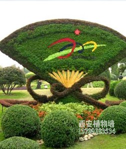五色草植物绿雕 五色草植物绿雕